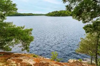920 Big Island N/A Huntsville Ontario P1H 2J2