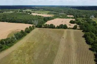 11080 First Nassagaweya Line Milton Ontario L0P 1J0