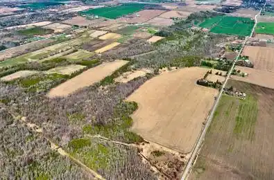 4392 Solina Road Clarington Ontario L0B 1J0