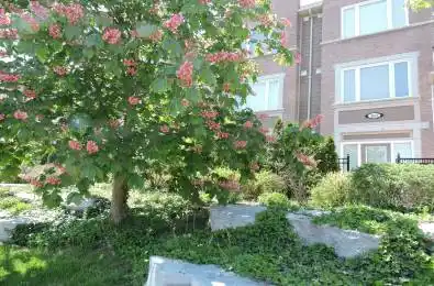 4855 Half Moon Grove Mississauga Ontario L5V 1B4