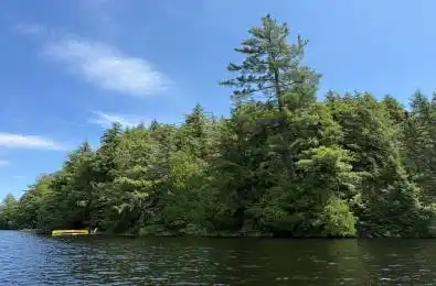 19 Cache Lake N/A Unit# APL1136E South Algonquin Ontario P0A 1H0