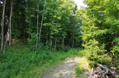 1037 Loon Lake Road Dysart et al Ontario K0M 1S0