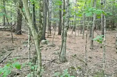 00 Buckslide Rd, N/A Algonquin Highlands Ontario K0M 1J1