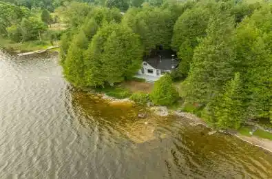 1087C Hills Lake Road North Frontenac Ontario K0H 2M0