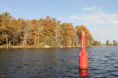 C280 Lower Buckhorn Lake N/A Unit# Lot 2 Trent Lakes Ontario K0L 1J0