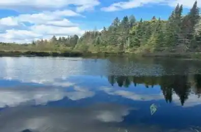 376 Riding Ranch Road South River Ontario P0A 1X0