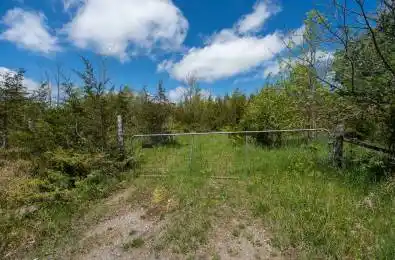 00 McCutcheon Road Stone Mills Ontario K0K 3W0
