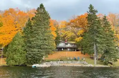 197 Lightning Point Road Kawartha Lakes Ontario K0M 1K0