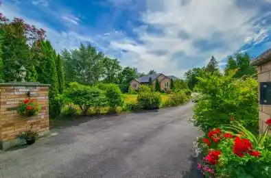 20560 Yonge Street Unit# Bsmt East Gwillimbury Ontario L9N 0J7