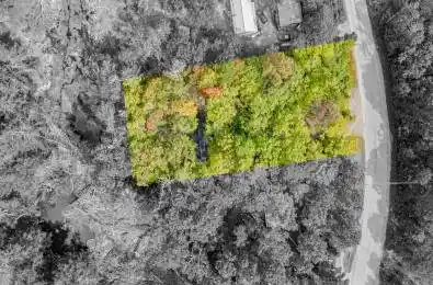 260 Edwina Drive Trent Lakes Ontario K0M 1A0