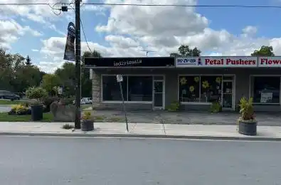 20 The Queensway N/A Unit# 20 Georgina Ontario L4P 1Y7