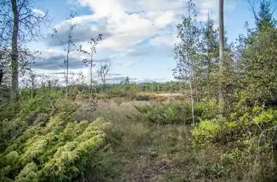 254-256 McGuire Beach Road Kawartha Lakes Ontario K0M 2B0