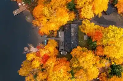 1149 KENDON Road Muskoka Lakes Ontario P0C 1A0