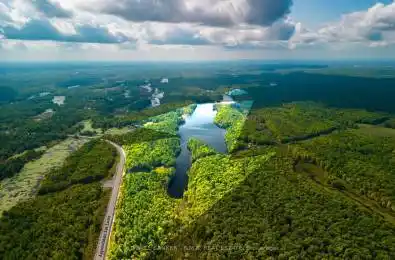 8860 County Rd 41 N/A Addington Highlands Ontario K0H 2A0