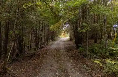 1083 County Rd 6 Road Douro-Dummer Ontario K0L 3A0