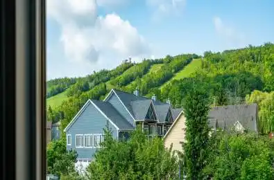 169 Jozo Weider Boulevard Unit# 221 Blue Mountains Ontario L9Y 0P7