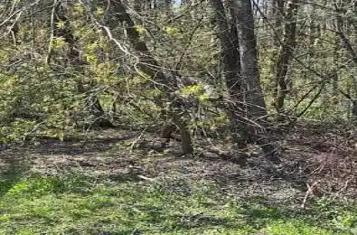 153 Courtland Street Ramara Ontario L3V 6H7