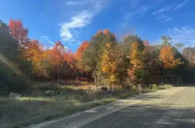 Lot 2 Vansickle Road Havelock-Belmont-Methuen Ontario K0L 1C0