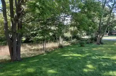 227 A Queen Street Selwyn Ontario K0L 2H0