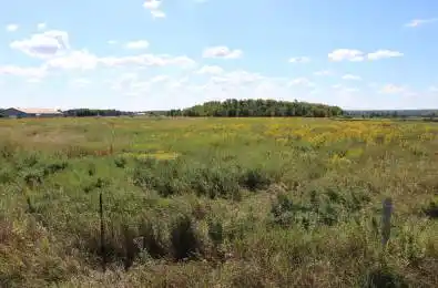 Hurontario Street Caledon Ontario L7C 2C2