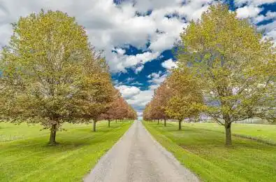 16761 Mountainview Road Caledon Ontario L7C 2V8