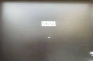 1695 Dersan Street Unit# 1403 Pickering Ontario L1X 0S9