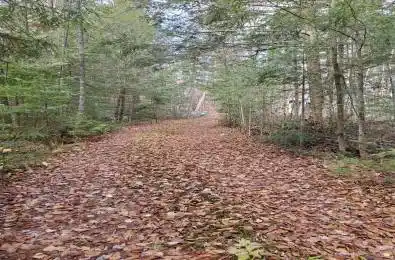 00000 Ril Lake Road Lake of Bays Ontario P0B 1A0