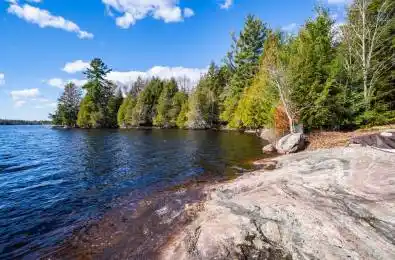 764 EAST BEAR LAKE Road McMurrich/Monteith Ontario P0A 1Y0