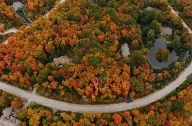 130 Deerfoot Trail Huntsville Ontario P1H 0A8