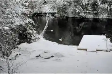 3309 Riverdale Drive Severn Ontario L0K 2B0