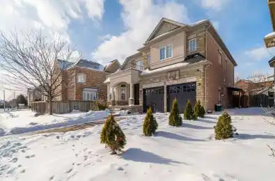 12 Edmonton Street Unit# (Bsmt) Brampton Ontario L6Y 5L2
