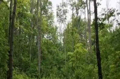 1154 Delia Road Bracebridge Ontario P0B 1L0