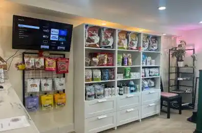 6385 main Street Whitchurch-Stouffville Ontario L4A 1G4