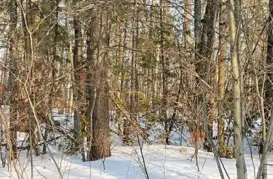 0 Sugarbush Crescent Trent Lakes Ontario K0L 1J0