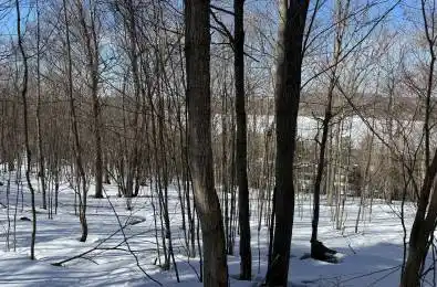 22 Walpole Street Huntsville Ontario P1H 1V3