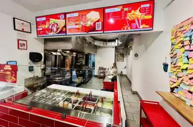 1132 Queen Street Toronto C01 Ontario M6J 1J3